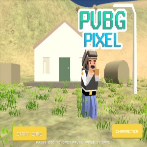 Pubg-Pixel-2