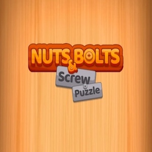 Nuts and Bolts Screwing Puzzle